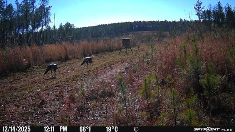 Photo - commentaire&nbsp;1.