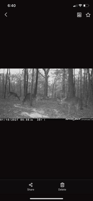 delete spypoint camera