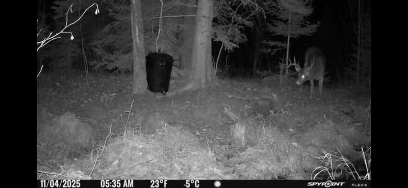 Photo - commentaire&nbsp;1.