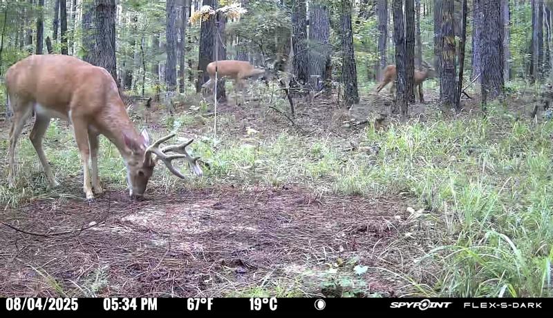 Photo - commentaire&nbsp;3.