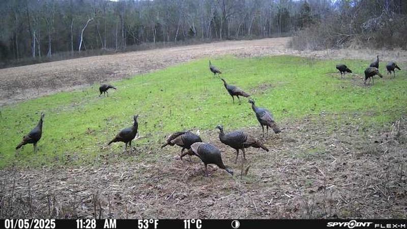 Photo - commentaire&nbsp;4.