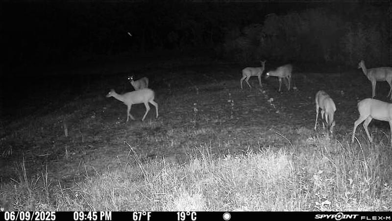 Photo - commentaire&nbsp;3.