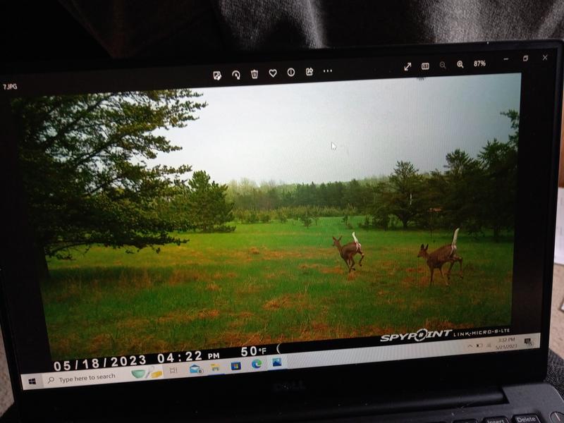 Photo submitted with review of product