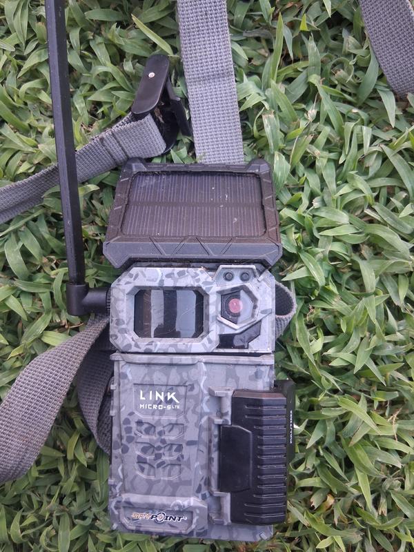 Review photo 6.