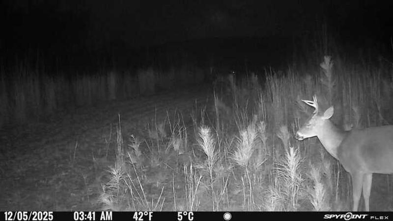 Photo - commentaire&nbsp;2.