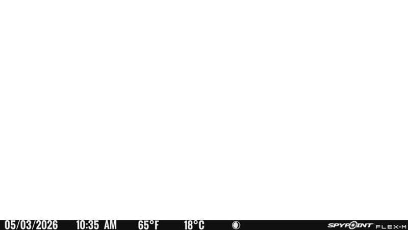 spypointsucks