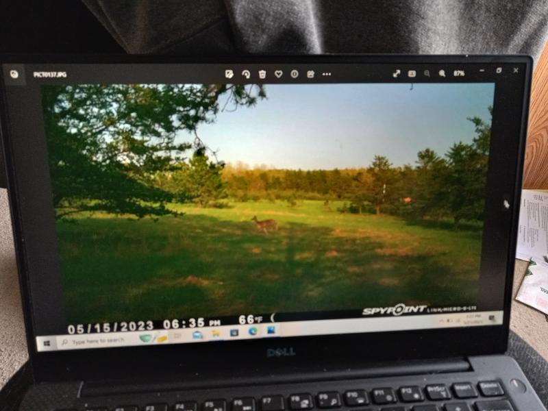 Photo submitted with review of product