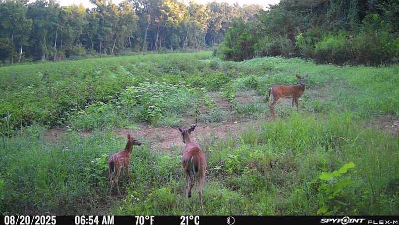 Photo - commentaire&nbsp;2.