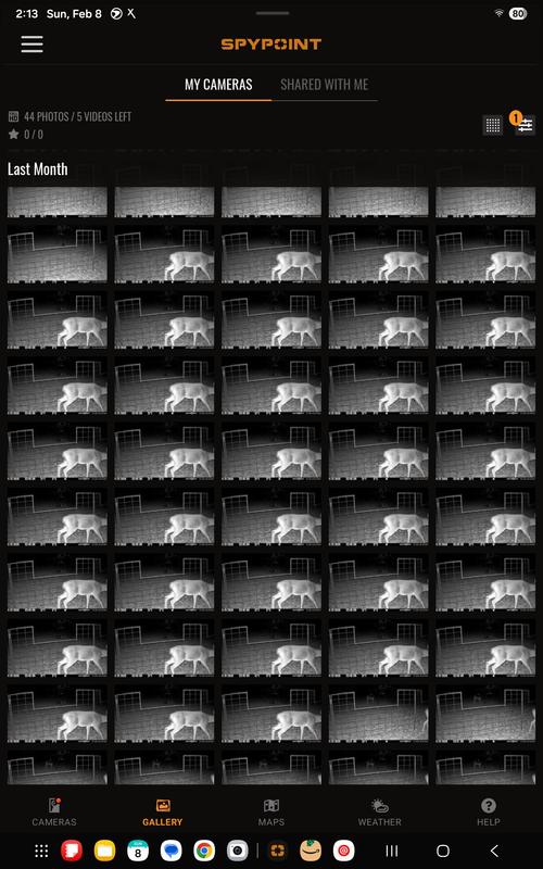 Photo - commentaire&nbsp;2.