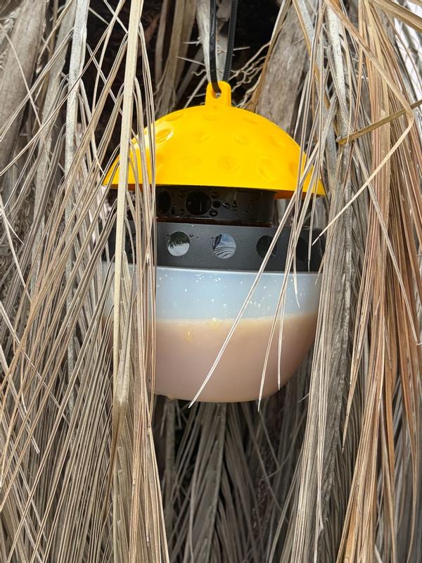 Shop Spectracide Wasp and Hornet Trap + Refill at Lowes.com
