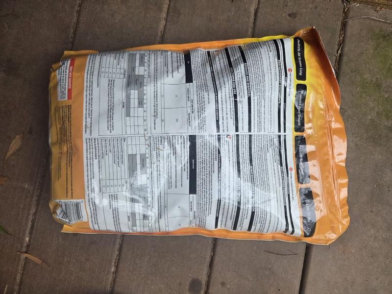 Review photo 3.