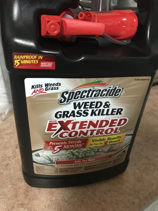 Hoping for 5 months weed free!