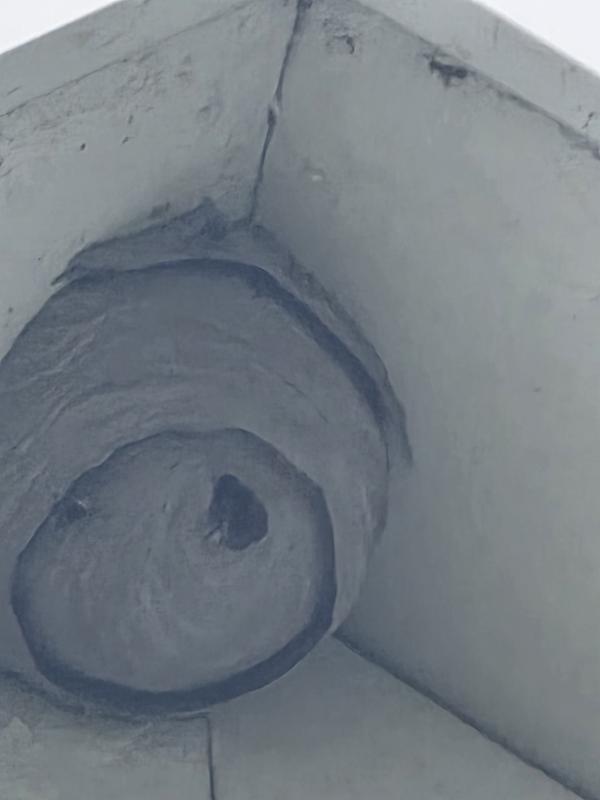 Live nest