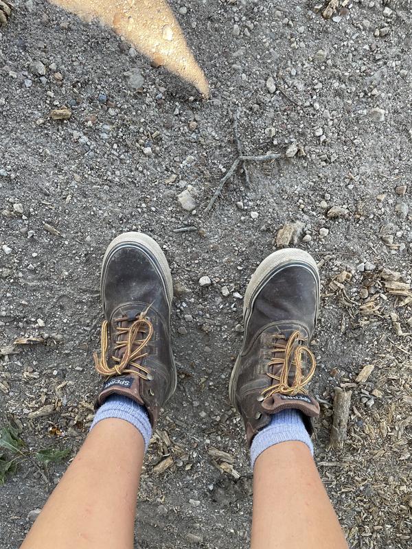 sperry striper storm boot