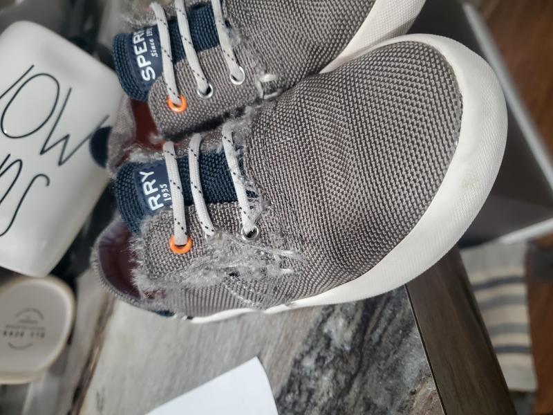 sperry bodie sneaker