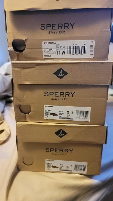 sperry shoe box