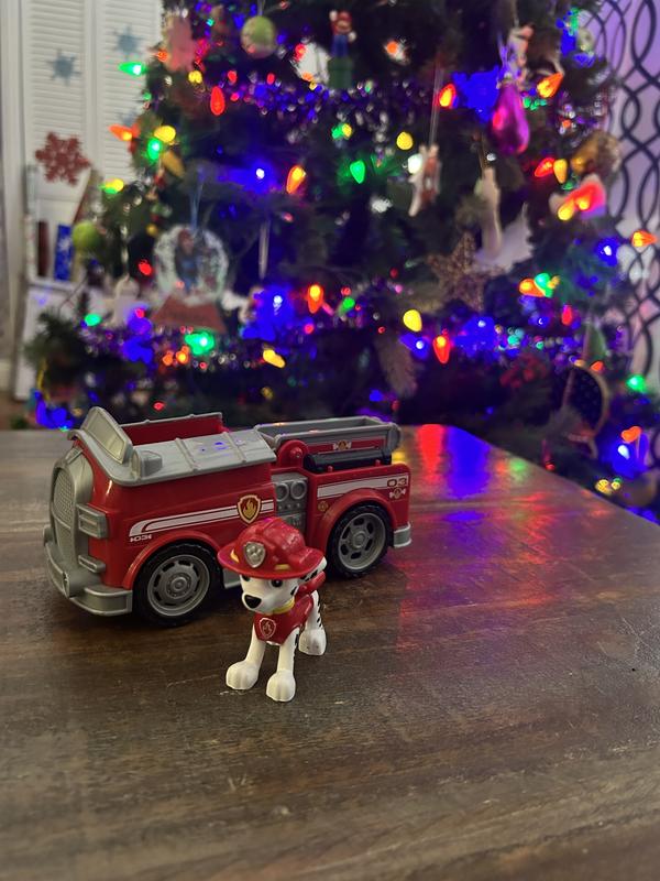 Paw Patrol on a roll