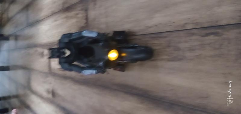 Spin Master Batman Movie Motorcycle RC au meilleur prix sur