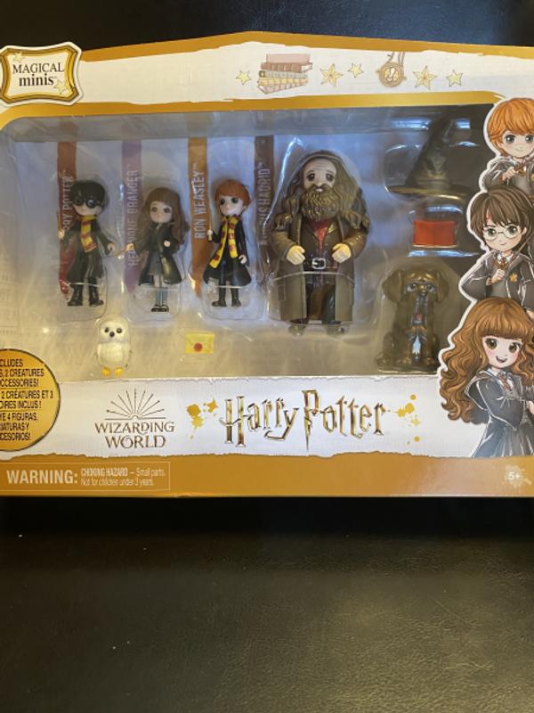 Wizarding World Harry Potter, Magical Minis, Hogsmeade Students Gift Set  avec 10 figurines