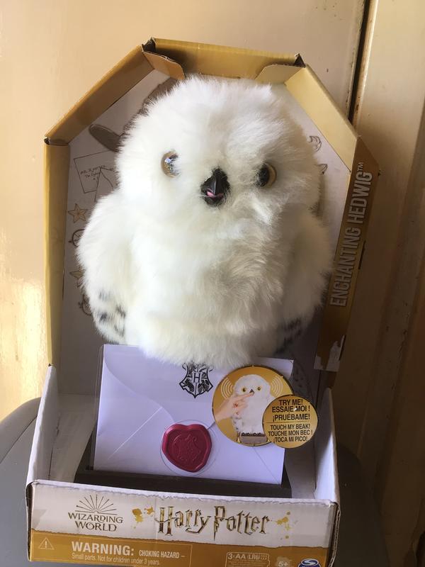 Hedwig 1