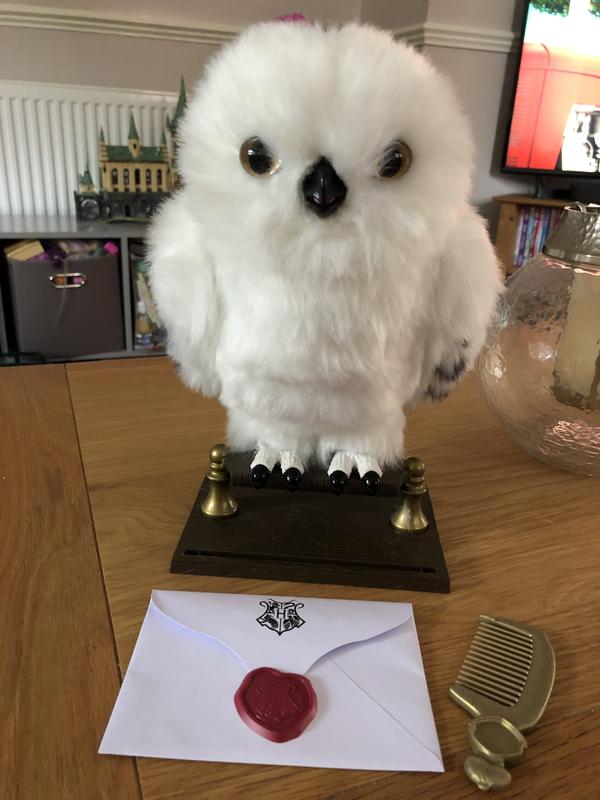 He comes with a sealed letter which you can write on and a gold comb for his feathers