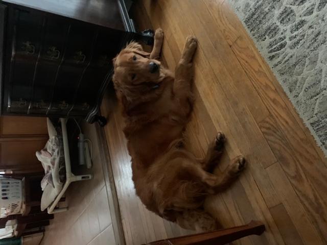 Time 2 chill - been doing exercises.