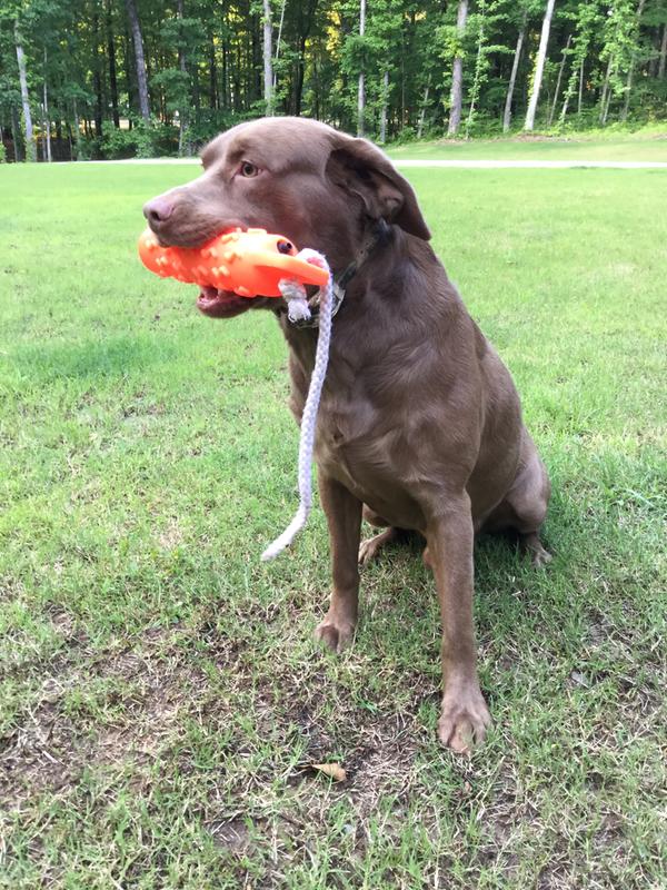 Talking about practice