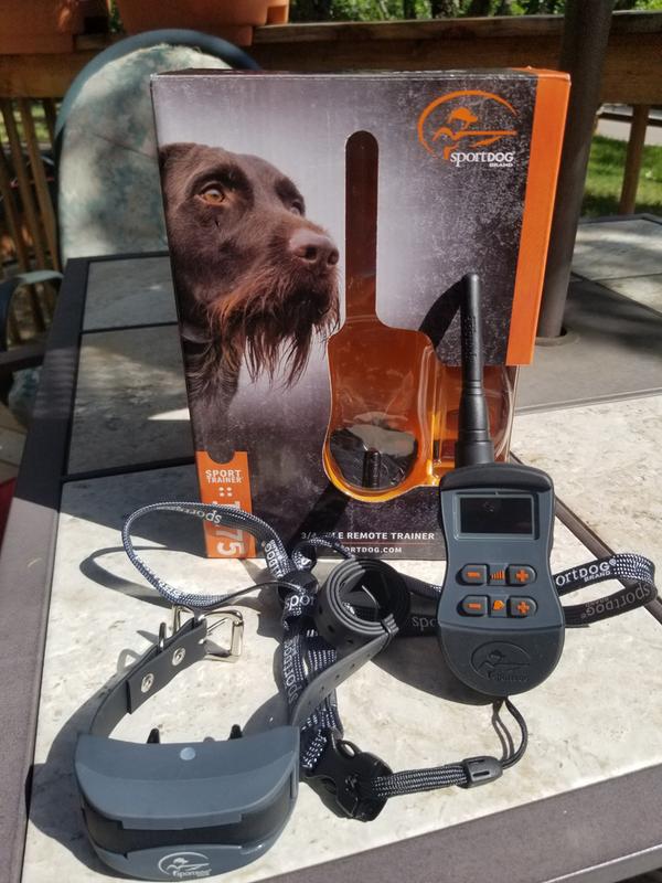 Great trainer for dogs