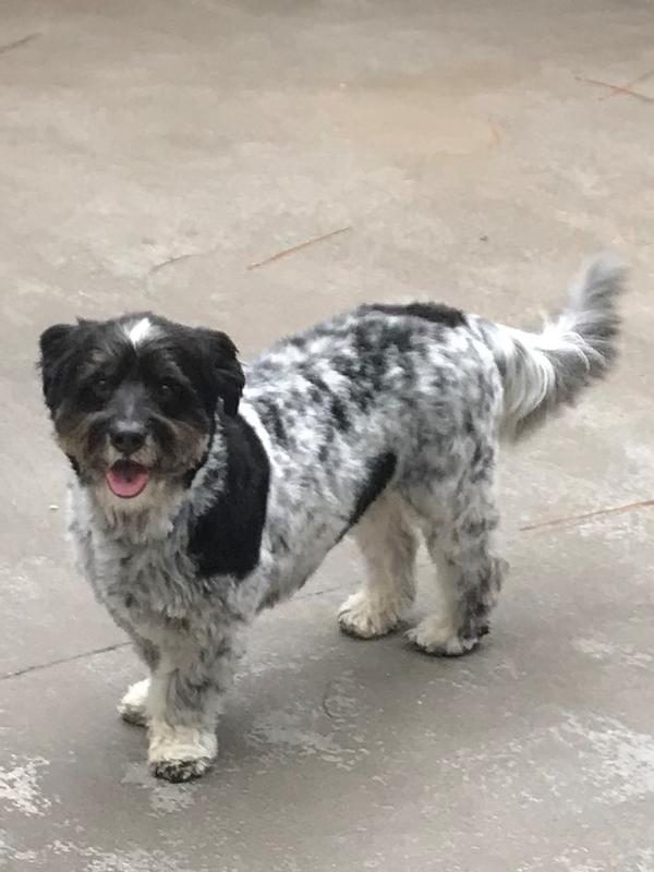 Sammy