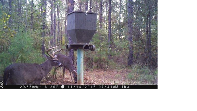 Banks Outdoors Feed Bank Gravity Feeder 300 Lb Capacity 584399