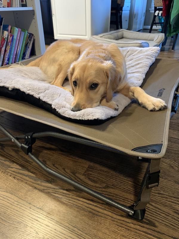 Guide Gear Dog Bed With Elevated Bed Frame, Raised Outdoor Pet Couch