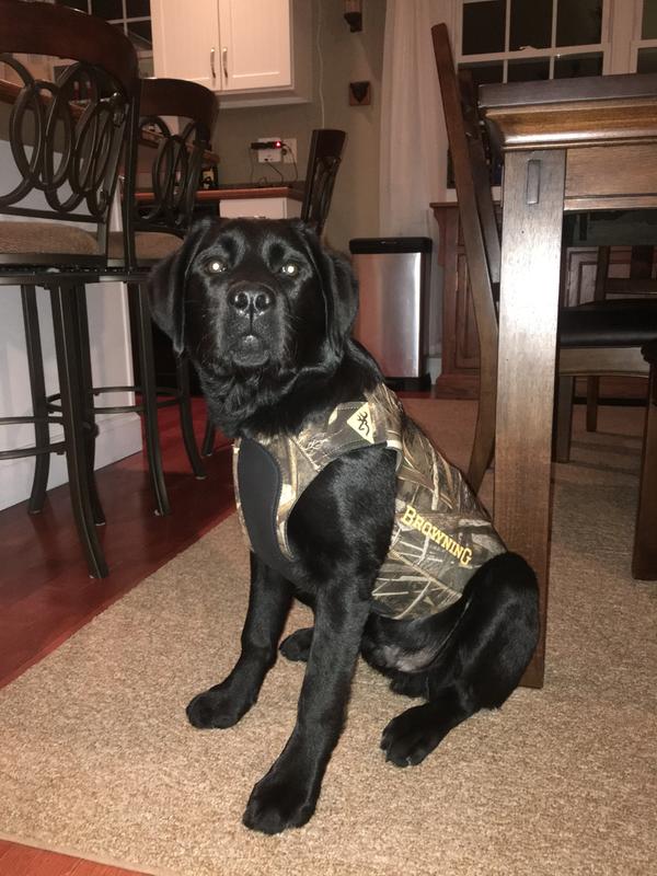 Browning hot sale dog vest