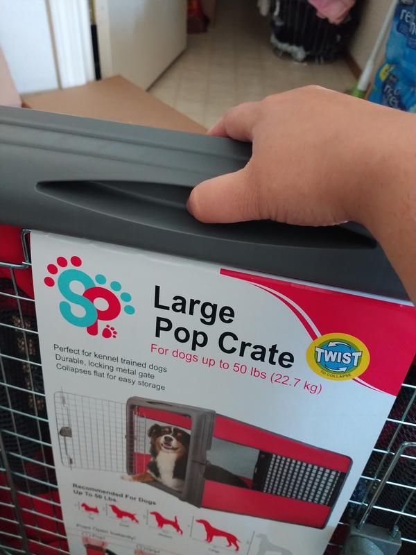 Sportpet large pop outlet crate