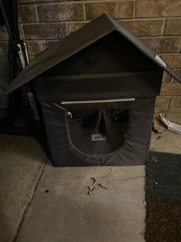 Kitty house