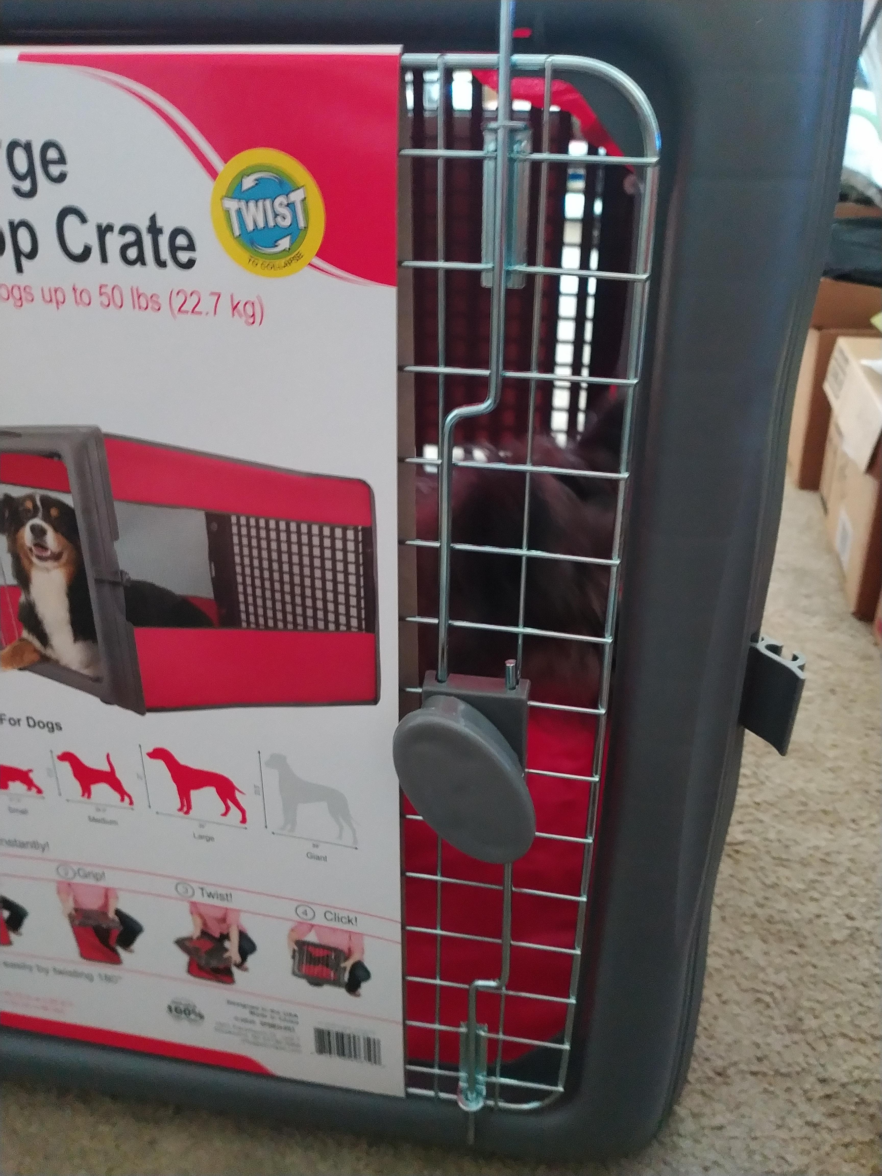 Sportpet designs travel pop up crate red for dogs new arrivals