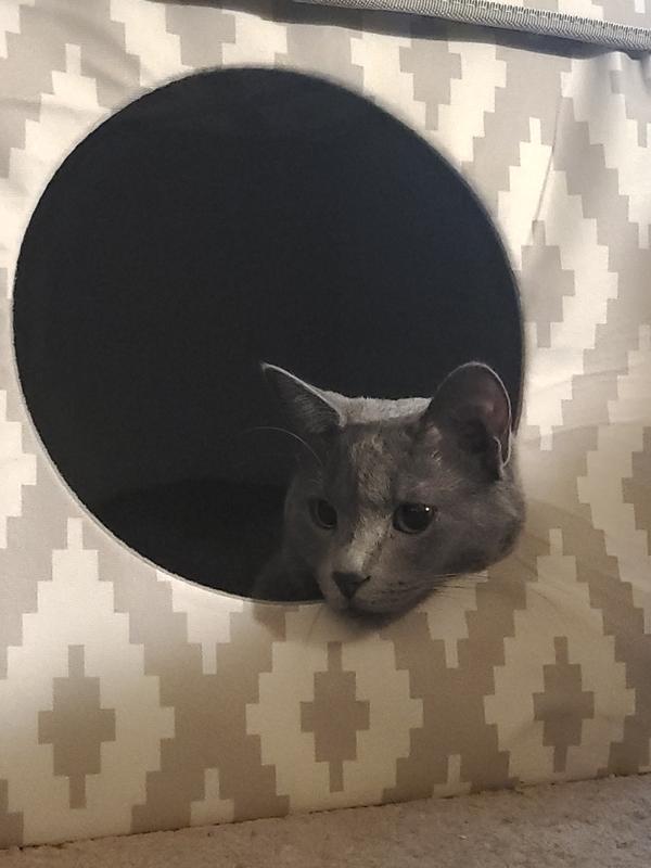 Morgan in her new bed!