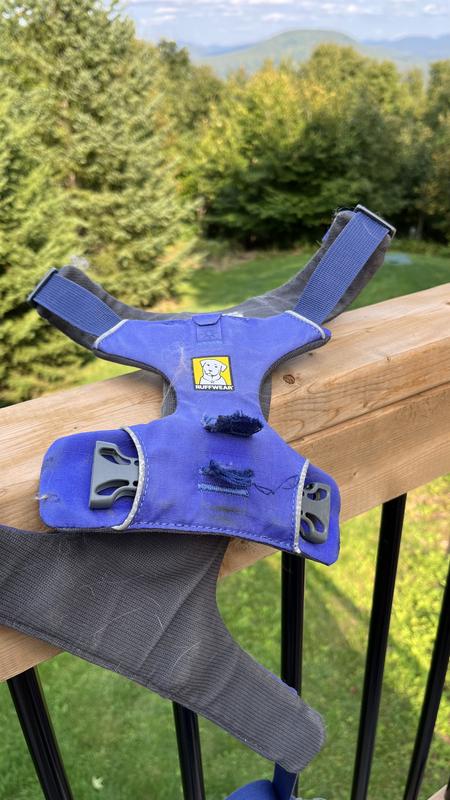 RUFFWEAR Front Range Dog Harness Sports Experts