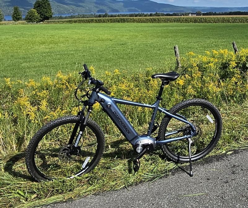 Powerline - Adult Electric-Assist Bike | Sports Experts - Atmosphere