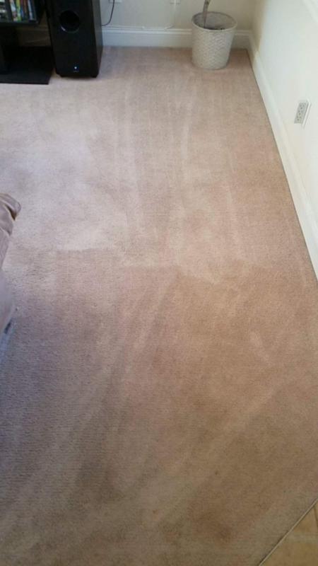 Woolite Carpet Cleaner Carpet & Upholstery Brush 12 oz.