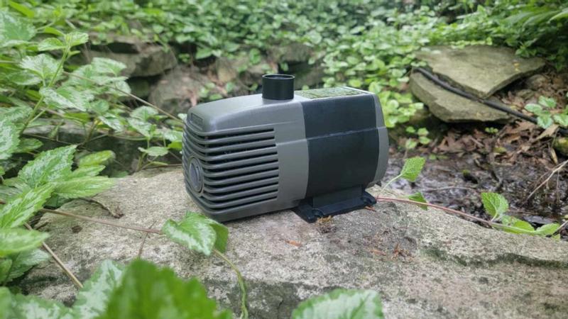 Cheers! アクア　SP Active Aqua 1 Count Planting/Growing accessory in the