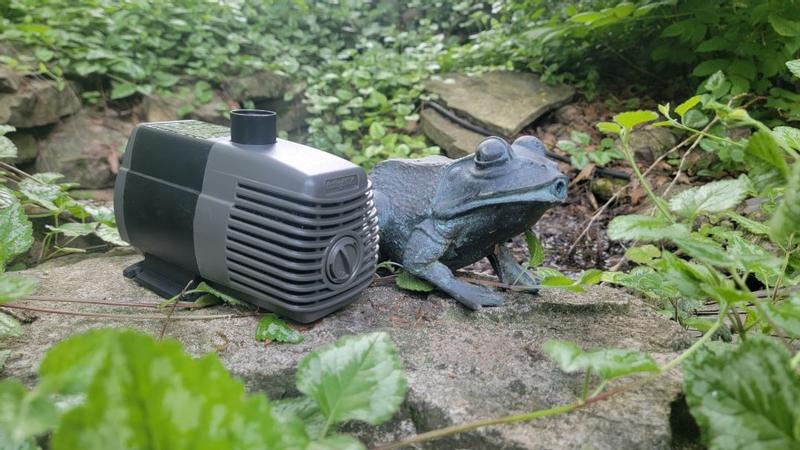 Cheers! アクア　SP Active Aqua 1 Count Planting/Growing accessory in the