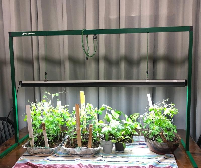 Photo - commentaire 3.