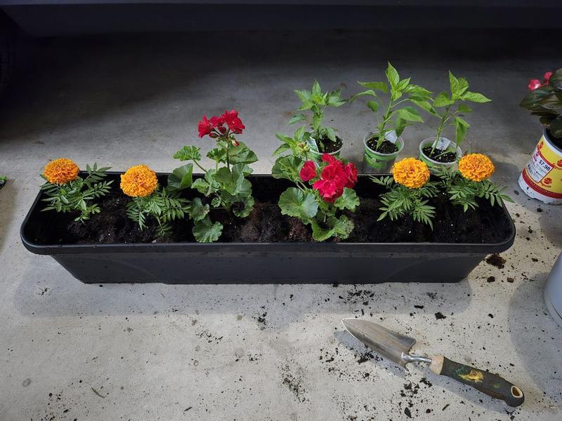 Southern Patio 36 Inch Medallion Hanging Windowsill Garden Box Planter ...