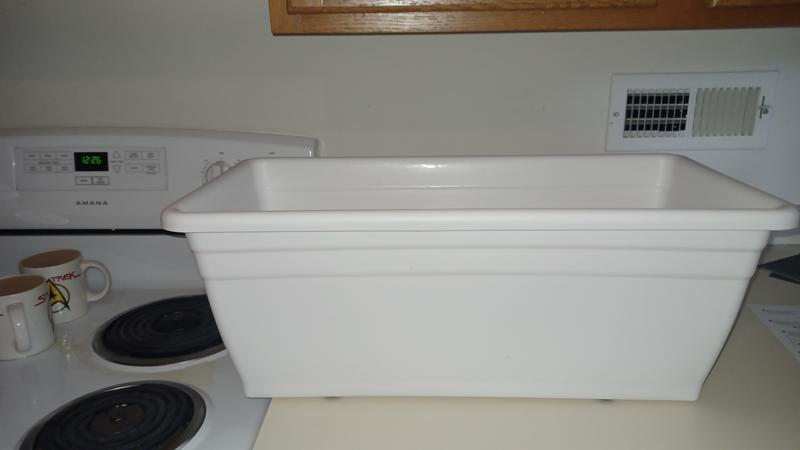 I can't wait to fill it with flowers