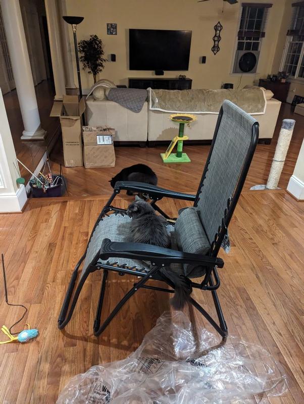 Photo submitted with review of product
