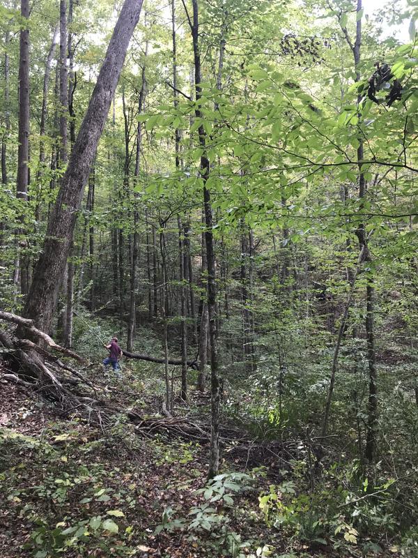 Ready to hunt in our buddy stand