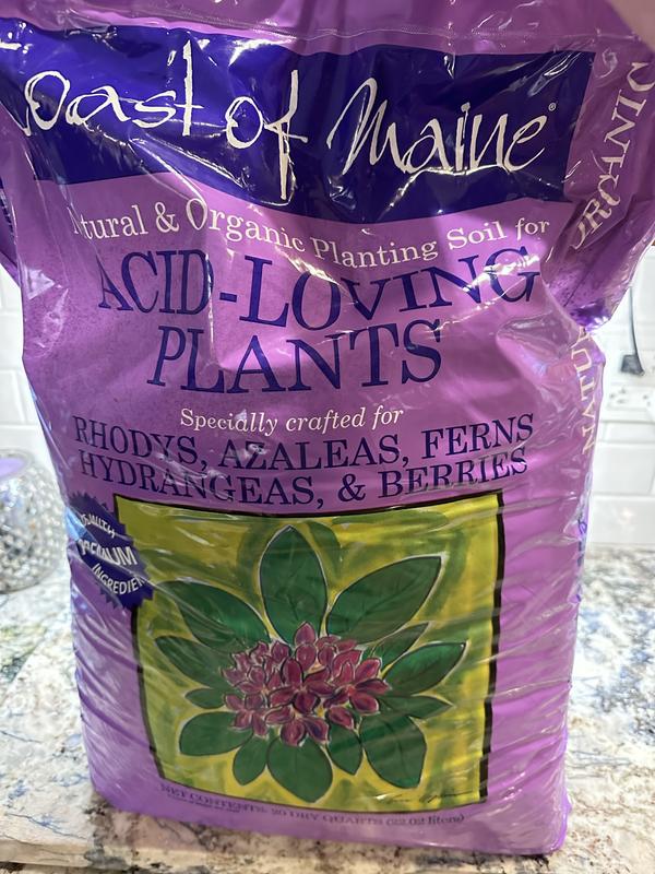 All You Need To Know About Potting With Peat – Plants for All