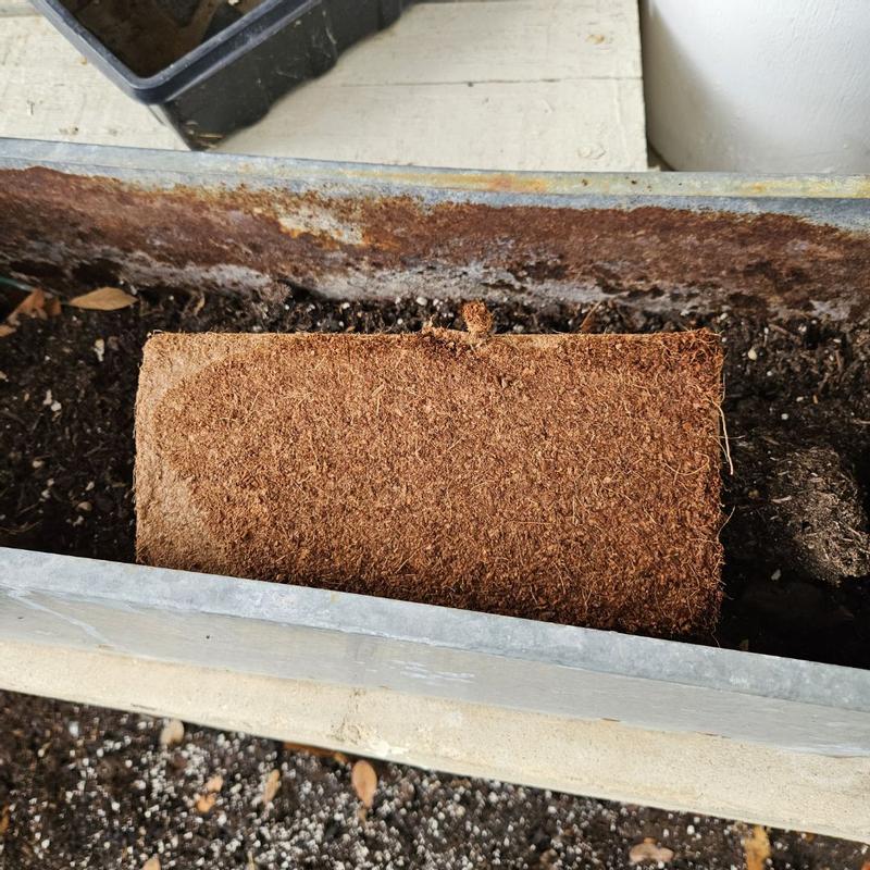 Photo - commentaire 3.