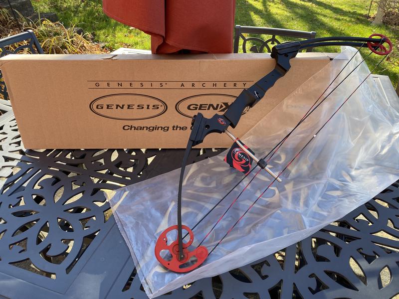 Genesis Archery Arrow(s) 226551 at Lowes.com