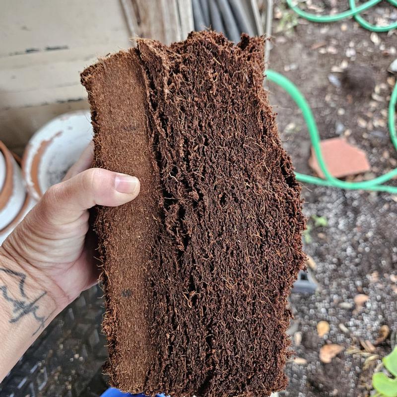 Photo - commentaire 2.